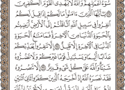 ترتیل صفحه 193 قرآن با صدای استاد «پرهیزکار»+ دریافت