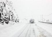 فیلم/ بارش زمستانی برف در کرمانشاه