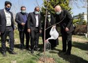 فیلم/ کاشت نهال در روز درختکاری توسط قالیباف