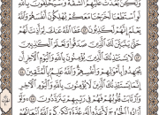 ترتیل صفحه 194 قرآن با صدای استاد «پرهیزکار»+ دریافت