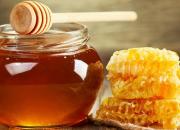 کندوهای عسل مزارع بر سلامت زنبور تاثیر می‌گذارند